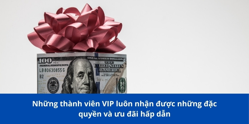 Những thành viên VIP luôn nhận được những đặc quyền và ưu đãi hấp dẫn