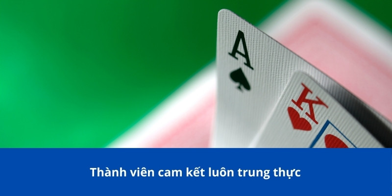Thành viên cam kết luôn trung thực